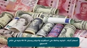 أسعار ثابتة.. الجنيه يحافظ على استقراره والدولار يسجل 48.18 جنيه في ختام الأسبوع